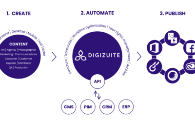 A Single Source of Truth For All Your Digital Assets