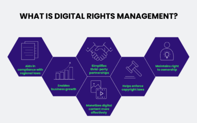 The Cornerstone of Digital Rights Management (DRM): Access Rights and Permissions