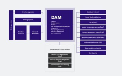 6 Essential DAM Capabilities Enterprises Need to Scale Content in 2023 (and Beyond)